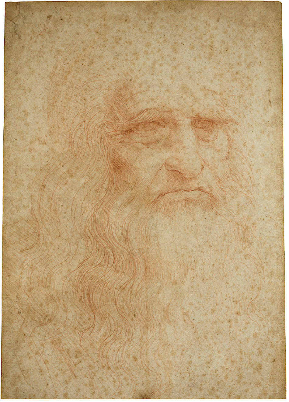 Leonardo da Vinci "Autoritratto" Biblioteca Reale di Torino - Sanguigna su carta cm. 33,5x21,6 (Fig.1-12)