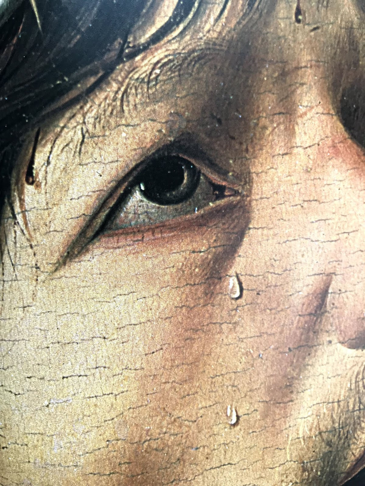 Dettaglio - Antonello da Messina "Cristo alla Colonna" 1476 Olio su tela cm. 29,8x21 Parigi, Museo del Louvre