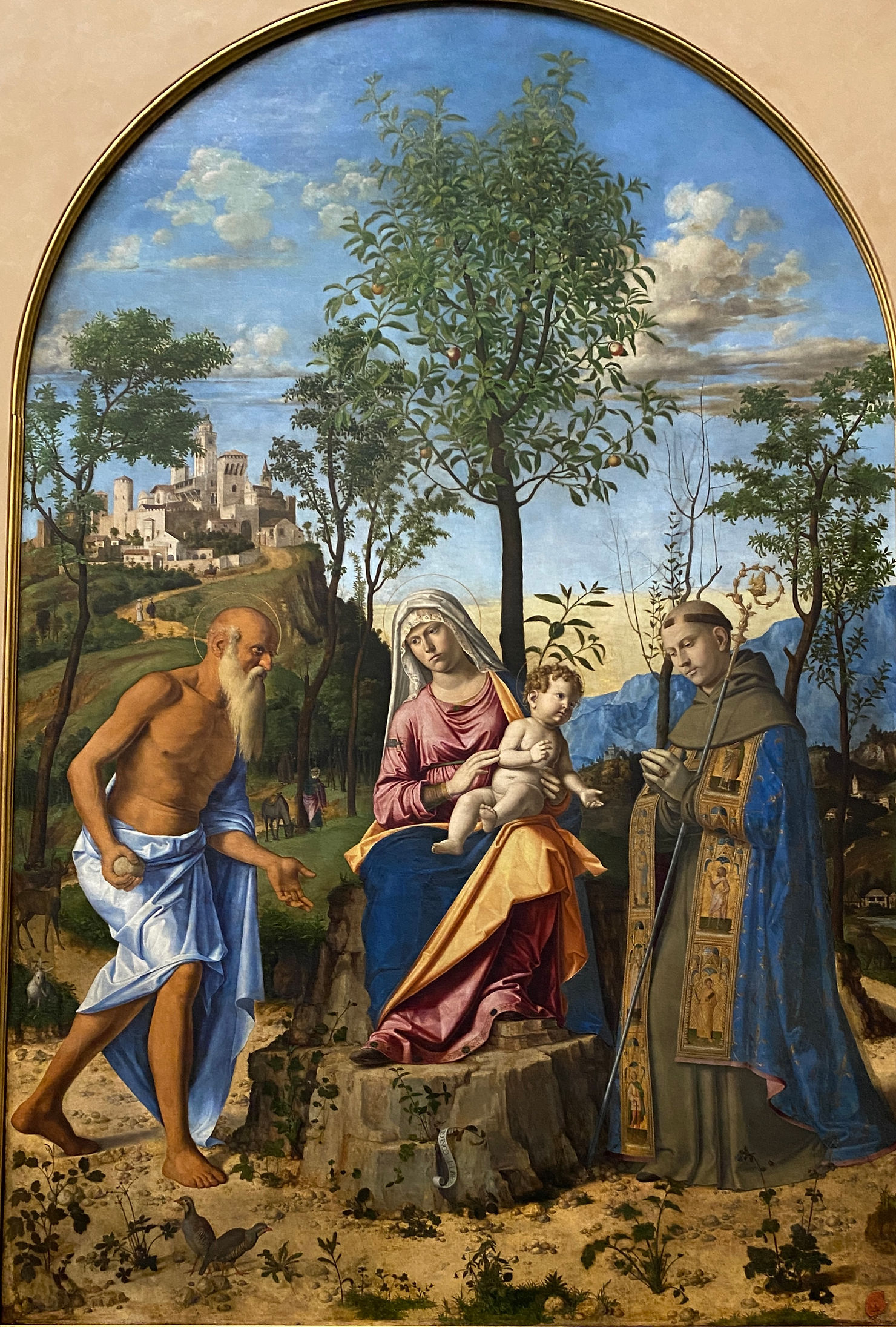 Cima da Conegliano “Madonna col Bambino tra i santi Ludovico da Tolosa e Girolamo, detta Madonna dell’Arancio” 1496-1498, Gallerie dell’Accademia, Venezia. Foto di Manuela Moschin