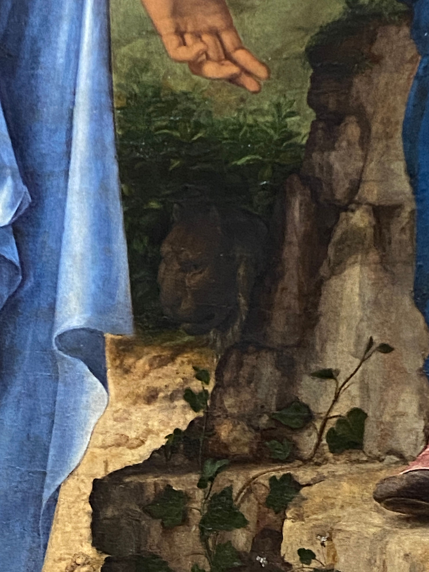 Cima da Conegliano “Madonna col Bambino tra i santi Ludovico da Tolosa e Girolamo, detta Madonna dell’Arancio” 1496-1498, Gallerie dell’Accademia, Venezia. Foto di Manuela Moschin. Dettaglio.