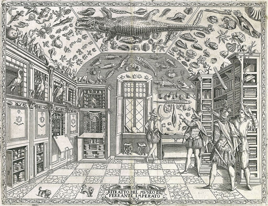 Wunderkammer