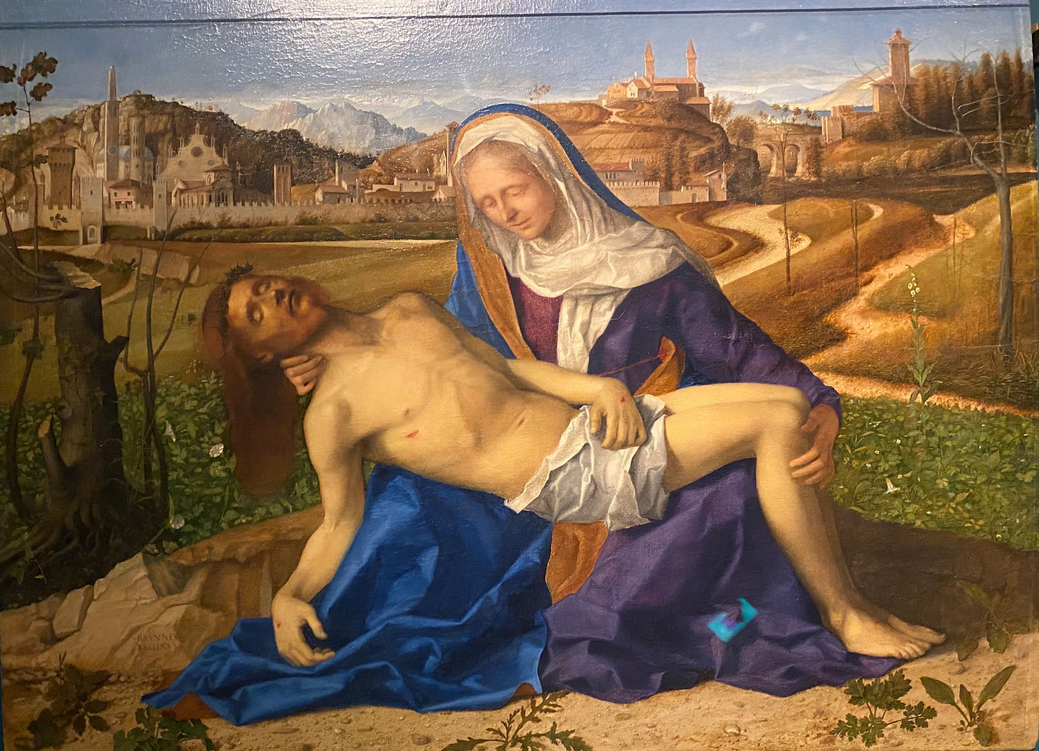 Giovanni Bellini, Pietà (1505 ca.), Olio su tavola, cm 65x87, Gallerie dell'Accademia, Venezia.