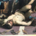 Jacopo Tintoretto “Il miracolo dello schiavo” (1547-1548) olio su tela, cm 416x544; Gallerie dell’Accademia, Venezia. Foto di Manuela Moschin.