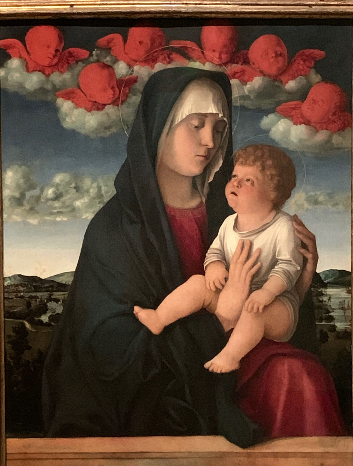 Giovanni Bellini “Madonna dei Cherubini rossi”1485 olio su tavola, 77x60 cm, Gallerie dell’Accademia, Venezia. Foto di Manuela Moschin