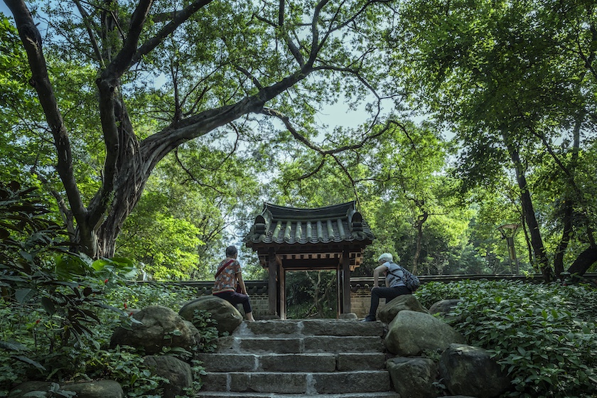 Haedong Gyeonggi Garden, 2023. Foto: Jin Weiqi (Macau University of Science and Technology).