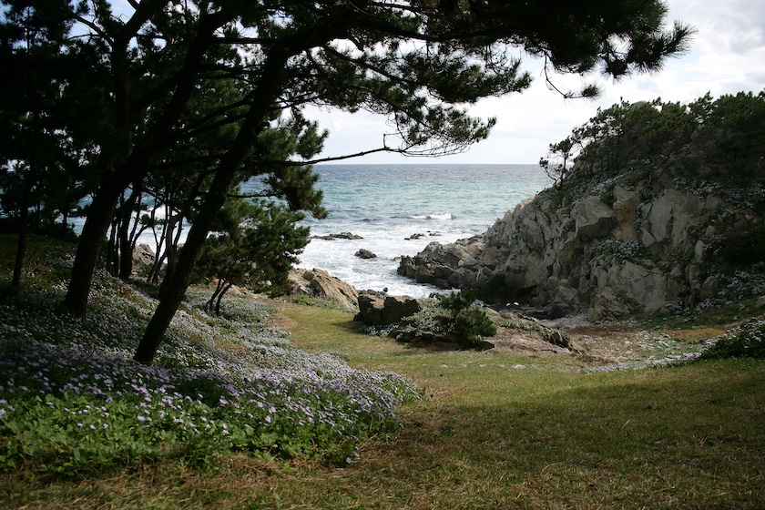 Pohang Country House Garden, 2010. Foto: Yang Haenam.