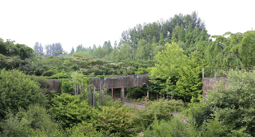 Seonyudo Park Giardino di transizione in estate, 2019. Foto: Yi Donghyup.