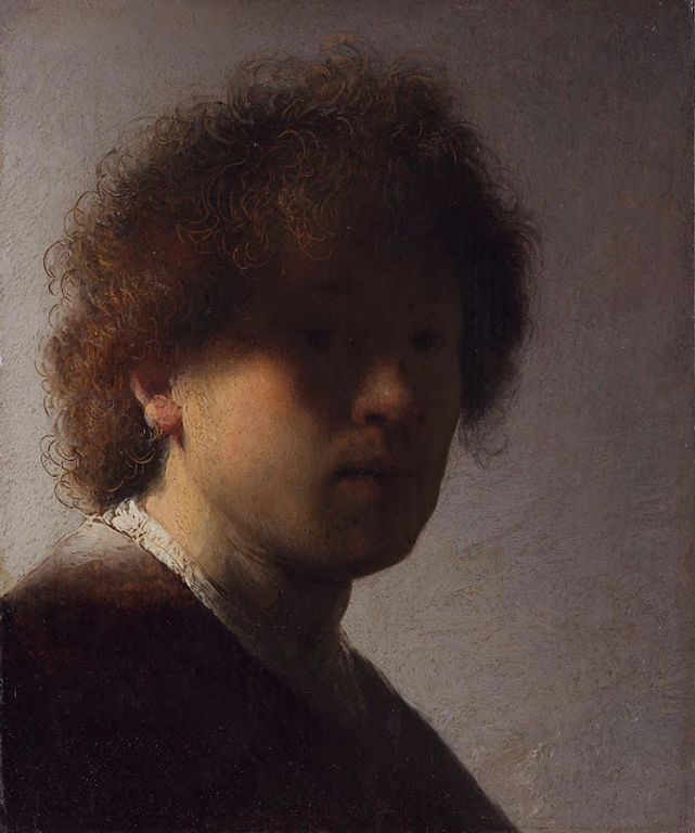 Rembrandt van Rijn "Autoritratto con capelli scompigliati" 1628 Olio su tavola, cm. 22,6x18,7 Amsterdam Rijksmuseum (Fig.4)